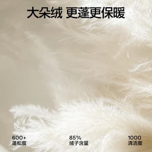 SIINSIIN轻薄羽绒服冬季女款v领保暖内胆双面穿休闲内搭短款外套 商品图1