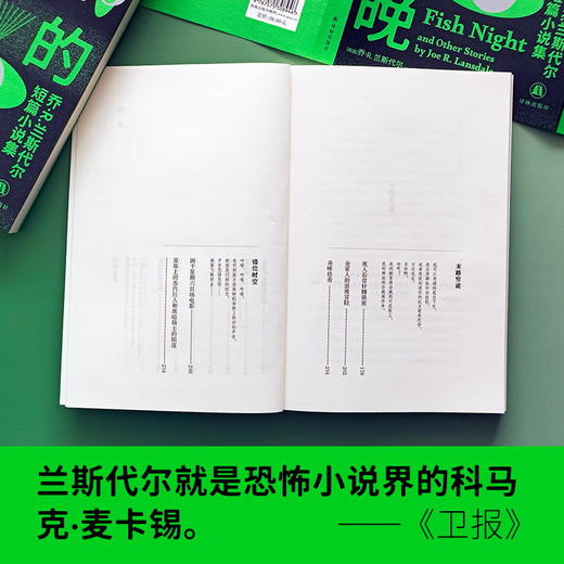 鱼出现的夜晚：乔·R.兰斯代尔短篇小说集 商品图4