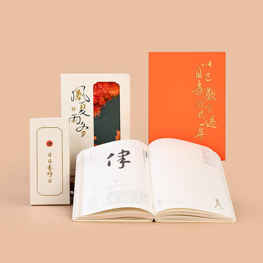 《养生日记本·2026》，365天温情守候；梁冬老师与正安十六位名师为新的一年写下温暖健康期盼；不只是日记，更是你安顿身心的长伴知己。 商品图3