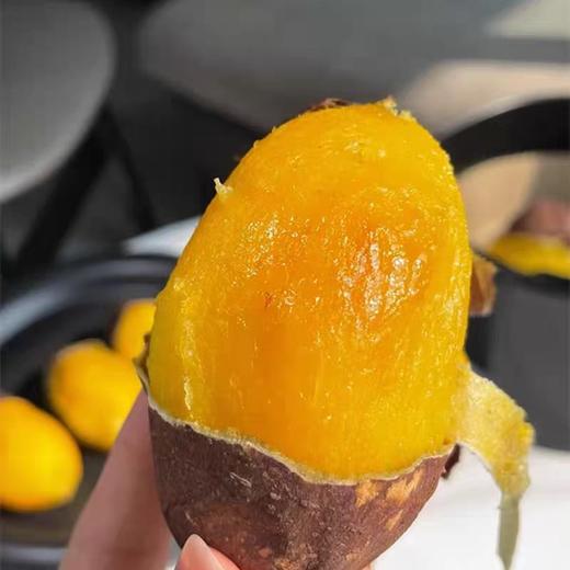 廉心蜜薯（一级果）2.5kg 商品图1