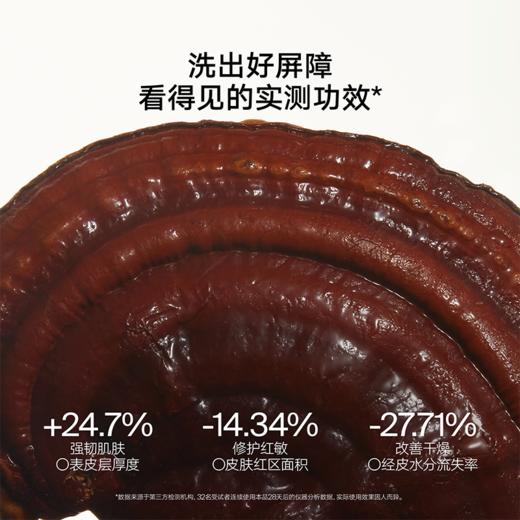 超多赠品‼️【雏菊的天空·白茶灵芝双酵洁颜蜜】 敏感肌可用 不紧绷 清洁保湿洗面奶 商品图3