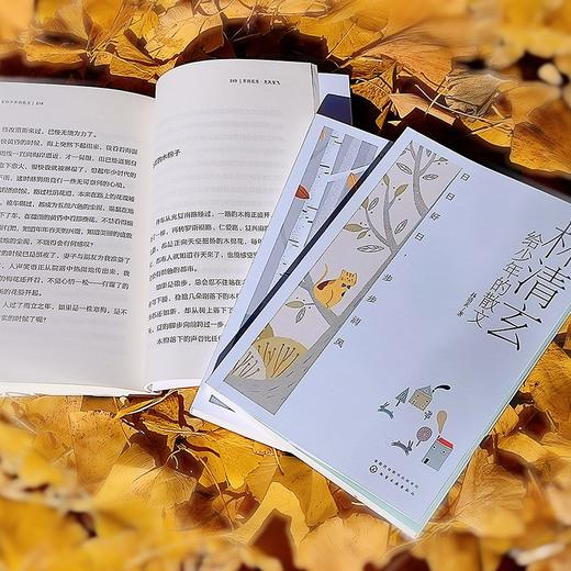林清玄给少年的散文：大字版（套装共3册） 商品图6