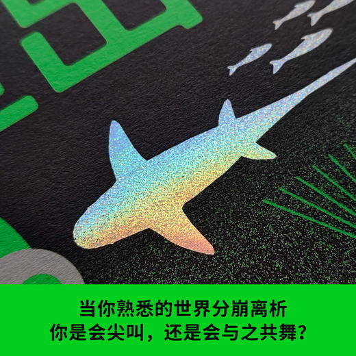 鱼出现的夜晚：乔·R.兰斯代尔短篇小说集 商品图2