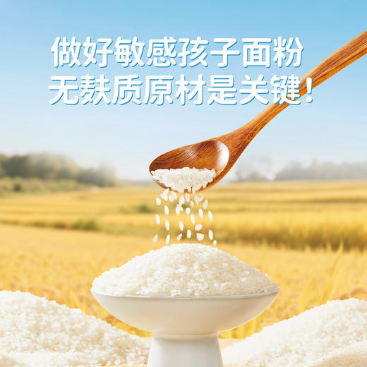 婴享糕点面粉无小麦无麸质低筋口感烘焙送婴幼儿敏宝辅食电子食谱 商品图1