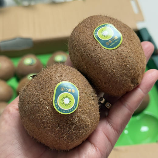 瑞玉阳光猕猴桃 商品图0