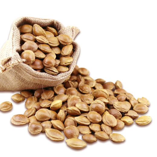 西域果园·大白杏核300g*2  手剥易开 颗粒均匀 果肉饱满 商品图2