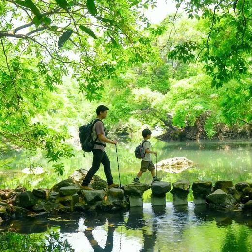 寒假亲子 | 秘境崇左·北海追鲸6天5晚 商品图10