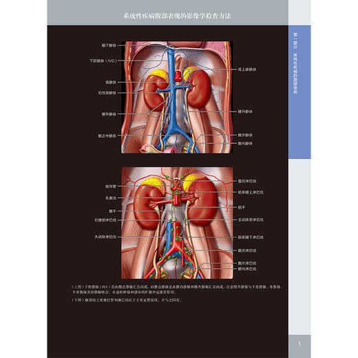 消化影像诊断学（原著第4版） 商品图2