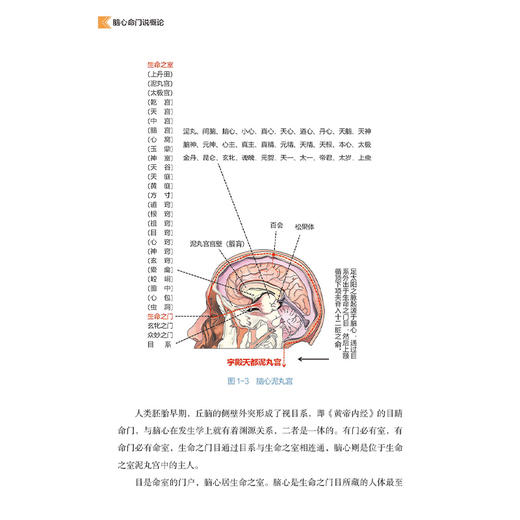 脑心命门说概论 贾耿 周德生 著 介绍了脑心命广的部位、结构、功能及其哲学渊源等 中医古籍 医学9787515230719 中医古籍出版社 商品图4