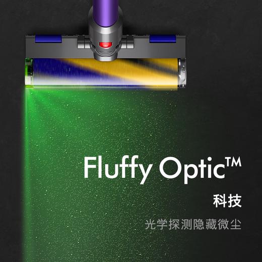 戴森（DYSON）G5 Detect Absolute手持无线吸尘器 除螨 宠物 家庭适用 商品图6