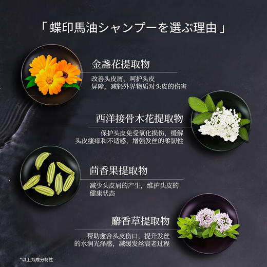 【分仓直发包邮】蝶印牌马油滋养型护发素600ml 商品图4