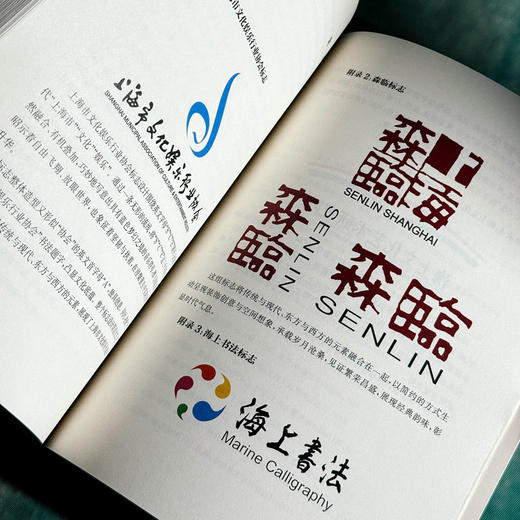 品牌标志创制与传播 俞海滨 高等学校艺术设计 市场营销 品牌管理专业教材 商品图13