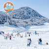 【冰雪金佛山·青春旅行团】南川金佛山赏雪1日游 商品缩略图0
