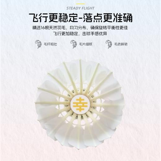 的幸羽毛球白幸鸭毛训练球专业比赛活动用球稳定飞行耐打王 商品图6