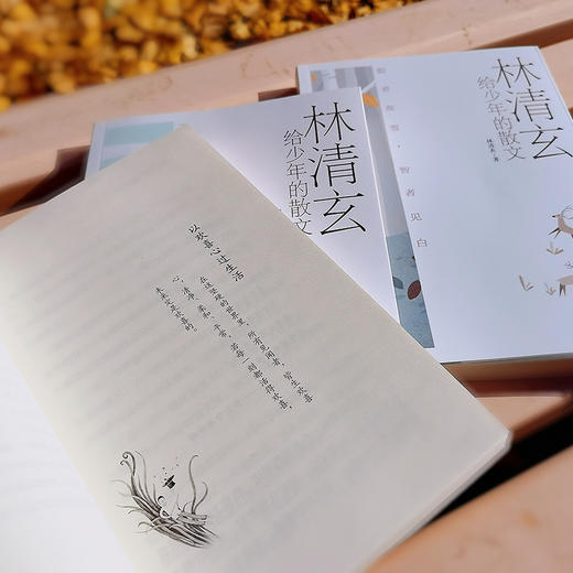 林清玄给少年的散文：大字版（套装共3册） 商品图5