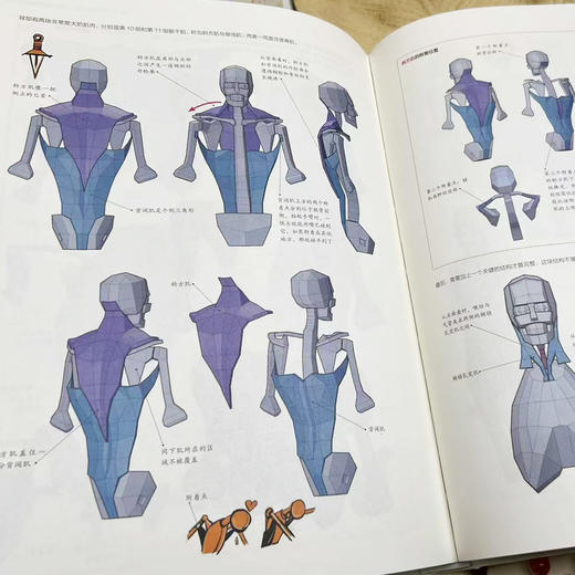 艺用人体结构：解剖+动态+识记+默画 鸭妖贵哥人体结构原理与动态教学教程插画教程 游戏动漫人体结构造型赠头部模型电子文件 商品图3