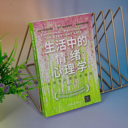 生活中的情绪心理学：来自内心深处的福流(QHDX) 商品图4