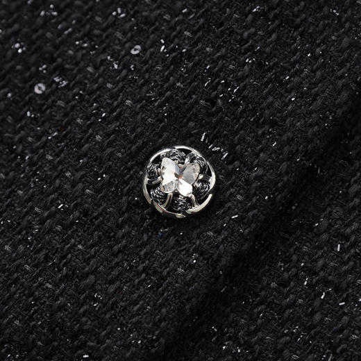 「高货wl」全新升级【铂金会员505/天猫679/差价174】(99658)洛诗琳2025秋冬重工钉钻领亮片小香风外套背心裙两件套 商品图4