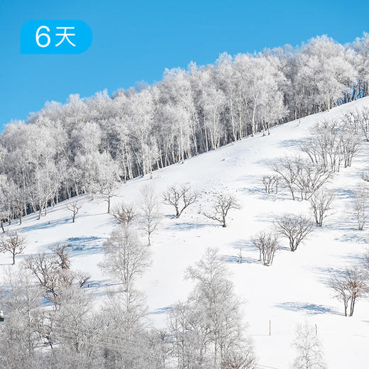 克什克腾26公里踏雪徒步节 乌兰布统雪原 6日【赠送价值219元戴适防水保暖帽】 商品图3