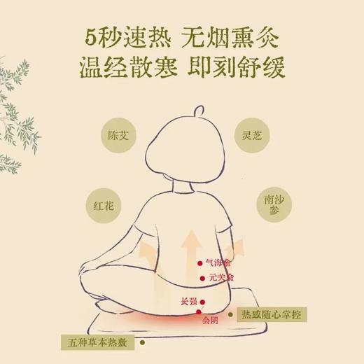 暖养呵护全身【真不二 灵芝南沙参热敷垫】🔮冬天和咳嗽&寒浊说拜拜👋名贵深山本草+三年珍稀陈黔艾！更适合养生人群使用的艾灸垫 商品图3