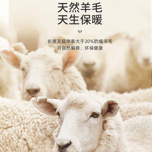 蚕丝羊绒保暖套装女士秋冬季加绒加厚打底德绒无痕内衣秋衣秋裤子 商品图2