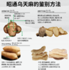 【新鲜乌天麻】云南昭通小草坝林下仿野生种植乌天麻 原始森林 林下生长三年  顺丰发货 商品缩略图3