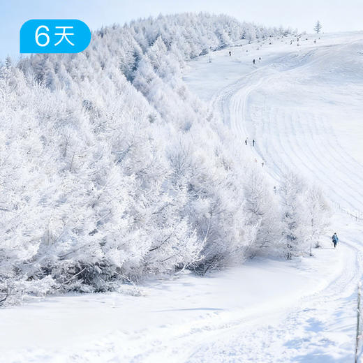 克什克腾26公里踏雪徒步节 乌兰布统雪原 6日【赠送价值219元戴适防水保暖帽】 商品图1