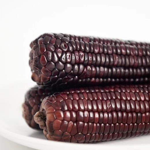 MAP·西北高原黑甜糯玉米/200g*8 商品图3