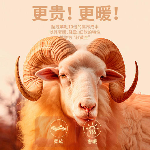 雀说含羊毛蚕丝打底衫女内搭发热绒保暖高领上衣加绒加厚AL54113 商品图3