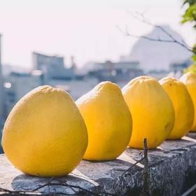 广东 梅州    沙田柚 | 收到后放一周后再吃更好吃