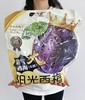 食味的初相阳光西梅霸气大西梅 商品缩略图0