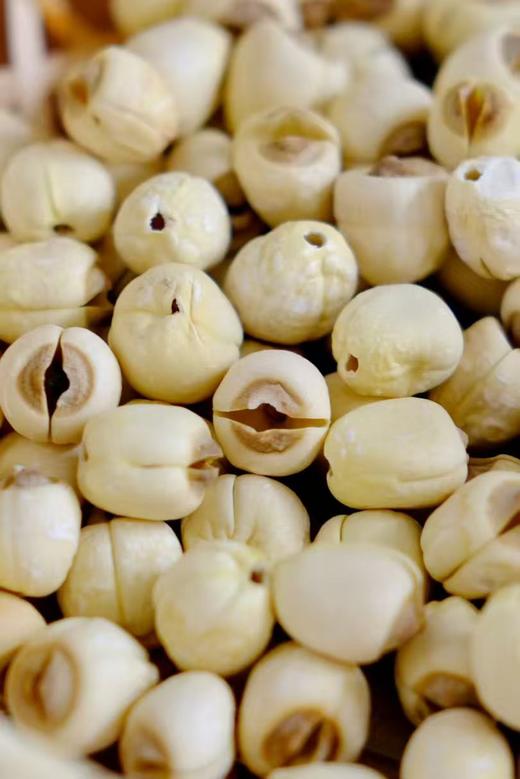 广昌白莲之乡 手工莲子白莲 /莲心/芡实组合/色白粒大味甘清香炖煮易烂粉 商品图5