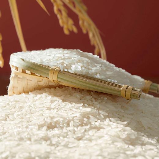 【虞日鲜五常大米】 核心产区传统农耕农法种植 执行标准GB/T19266【非稻花香】 商品图0