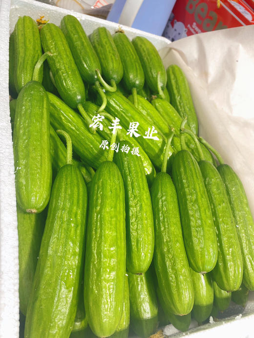 【宏丰精选】水果小黄瓜 清爽可口 可直接生吃  活动价8.8一斤 商品图4