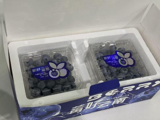 【精品水果】醉西子云南L25花香蓝莓 香甜爽口、果香浓郁 商品图5