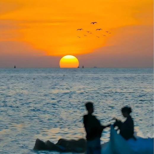 寒假亲子 | 秘境崇左·北海追鲸6天5晚 商品图4