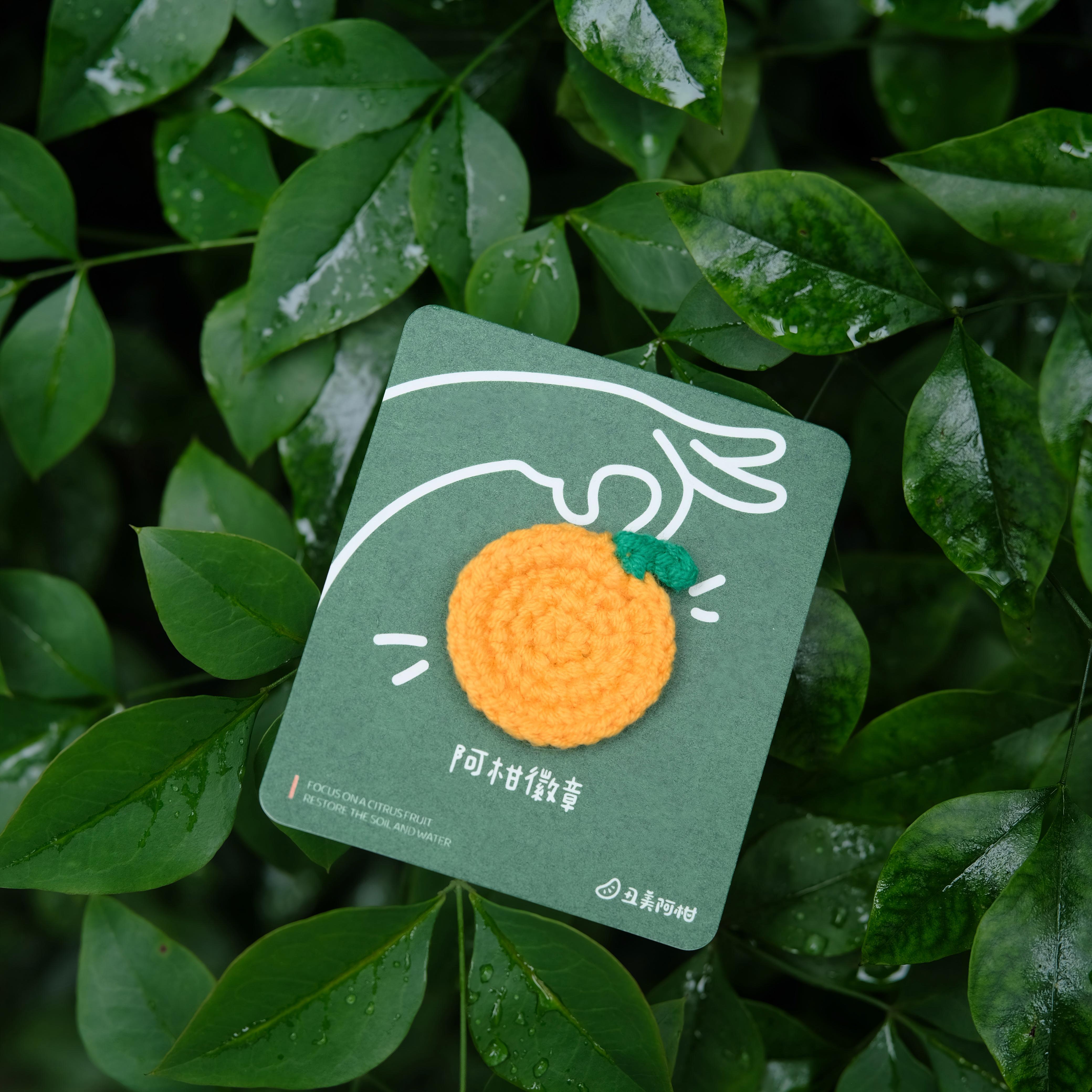 阿柑徽章【除自提外，文创单件买不包邮】