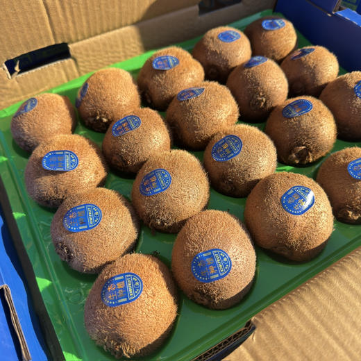 瑞玉阳光猕猴桃 商品图4