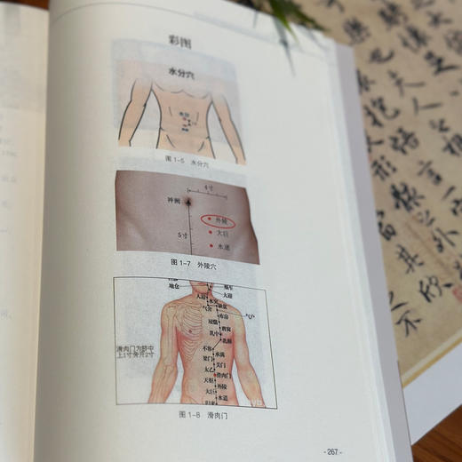 新书现发《穴位埋线减肥及疼痛性疾病的临床应用》（分类：埋线书籍） 商品图6