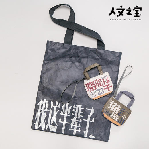 【人文之宝】老舍系列 · 我这半辈子戏剧联名杜邦纸包 商品图4