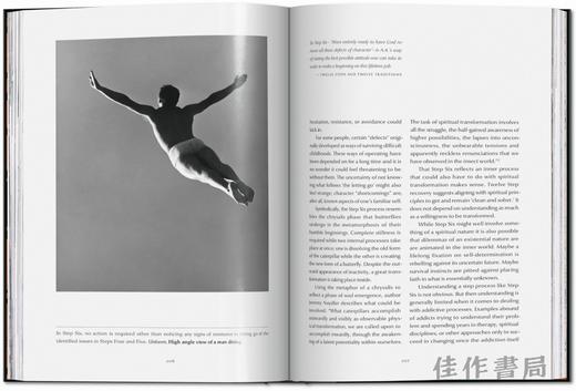 The 12 Steps. Symbols  Myths  and Archetypes of Recovery / 十二步骤：康复的符号、神话与原型 / Taschen 原版画册 商品图3