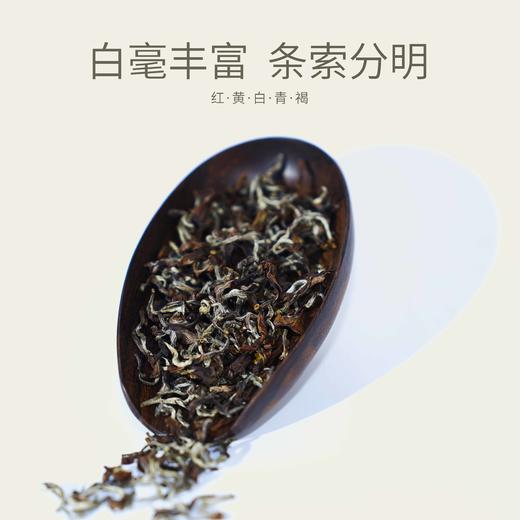 江山美人茶业2025年新款精致五星小盒12g 商品图3