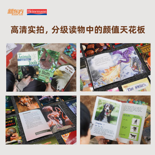 海尼曼英语分级阅读丨GK-G5 商品图11
