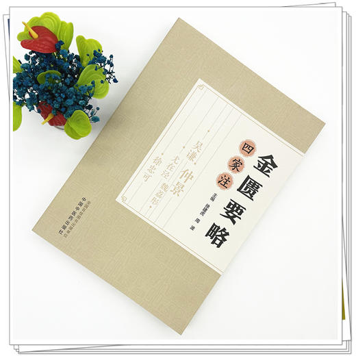 金匮要略四家注 徐建虎 周波 主编  中国中医药出版社 医宗金鉴 金匮要略心典 金匮要略论注 金匮要略方论本义 商品图1