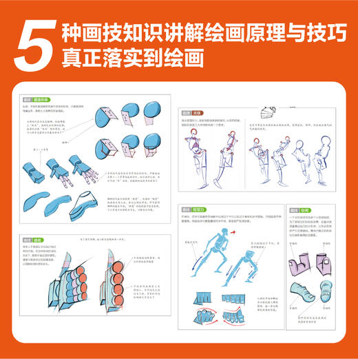 艺用人体结构：解剖+动态+识记+默画 鸭妖贵哥人体结构原理与动态教学教程插画教程 游戏动漫人体结构造型赠头部模型电子文件 商品图2