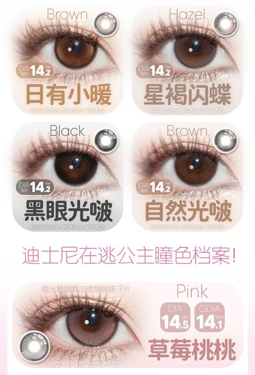 KAYLENS 日抛68/盒128/2盒228/4盒548/10盒989/20盒财阀千金 商品图4