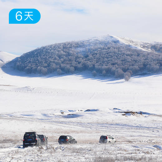 克什克腾26公里踏雪徒步节 乌兰布统雪原 6日【赠送价值219元戴适防水保暖帽】 商品图4