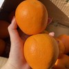 赣南脐橙不催熟不打蜡产地直发 商品缩略图5