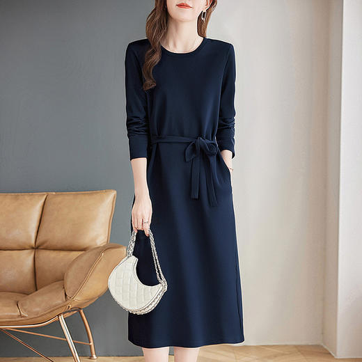 春秋高级长袖连衣裙秋季女士新款大码女装直筒裙休闲高端裙子洋气 商品图0