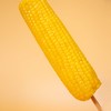 有机黑土地黄糯玉米(8穗)/1.6kg 商品缩略图4